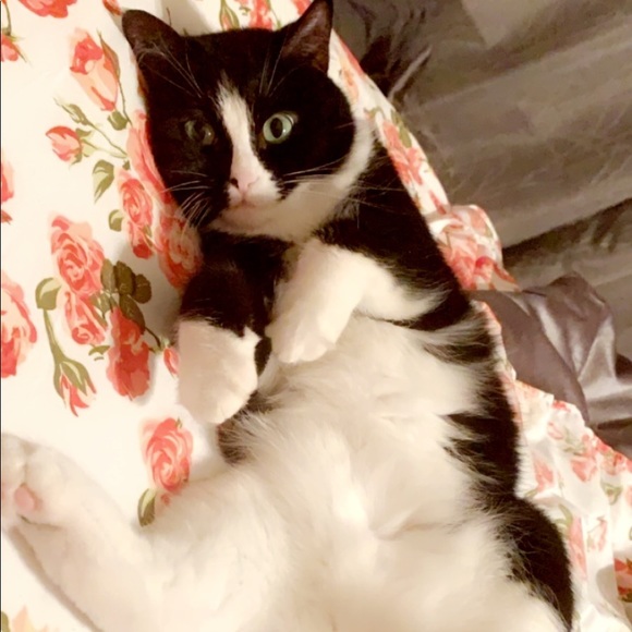 Meet your Posher, Jill - Picture 4 of 8